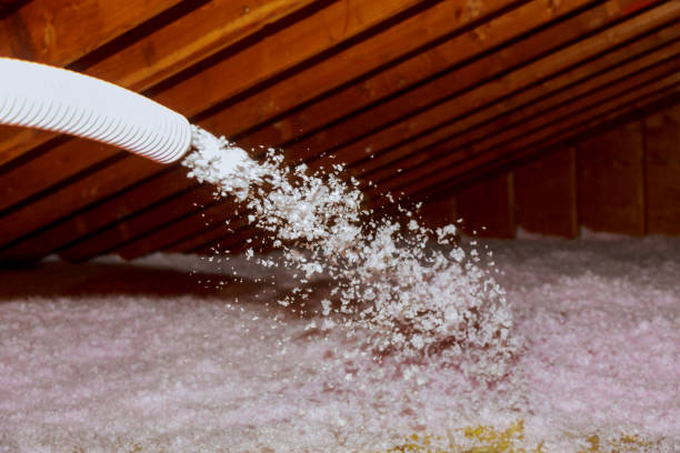 Best Spray Foam Insulation  in Sewalls Point, FL