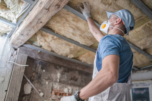 Best Professional Insulation Contractor  in Sewalls Point, FL