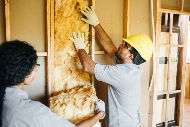 Best Commercial Insulation Contractor  in Sewalls Point, FL