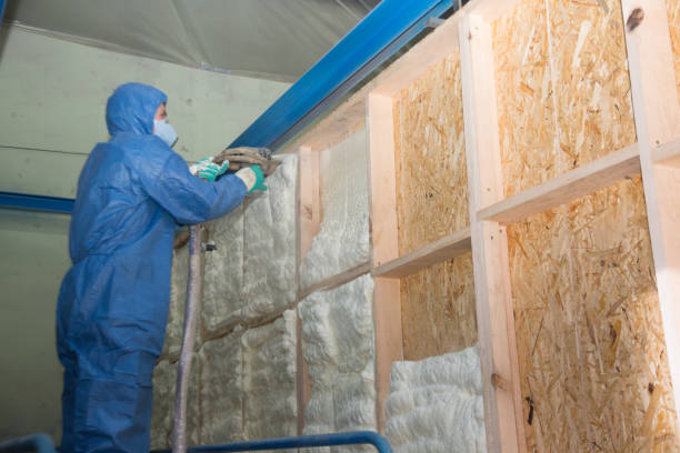 Best Insulation Contractors for Homes  in Sewalls Point, FL