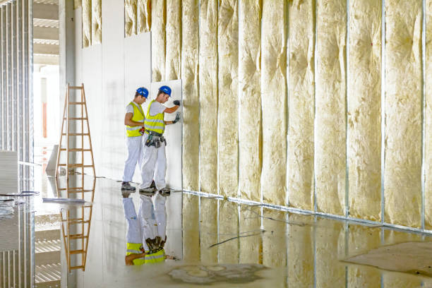 Best Insulation Repair Services  in Sewalls Point, FL